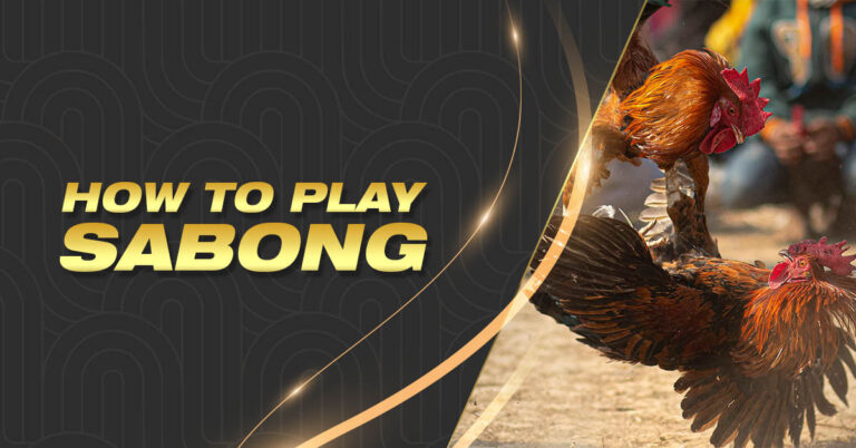 Learn How to Play Sabong Online on Bouncingball8